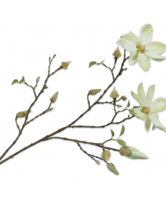 Magnolia Spray Light Green 103cm