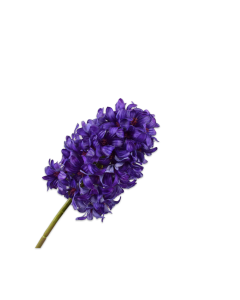 Hyacinth Stem Purple 73cm